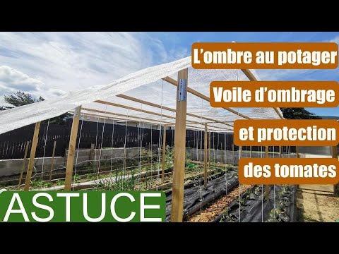 #23  ASTUCE l'ombre au potager voile d'ombrage anti-grêle et protection des tomates