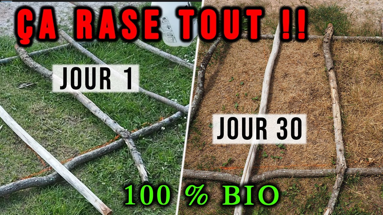 Désherbant Maison ULTRA Efficace, Simple et PAS CHER ! (0,30€ le litre)