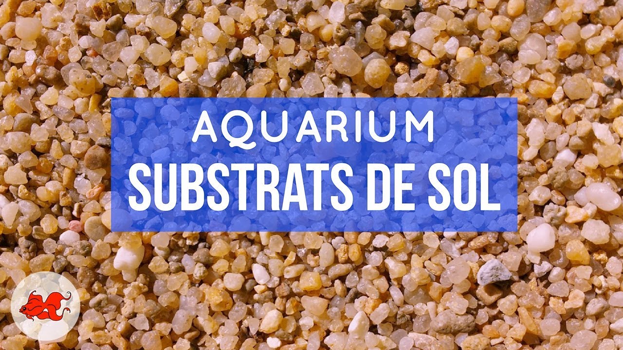 Sol pour aquarium que choisir ?