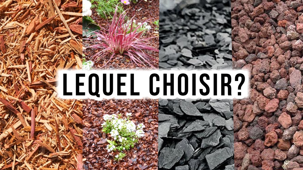 Quels PAILLAGES Choisir dans son JARDIN? (+Astuces pour économiser)