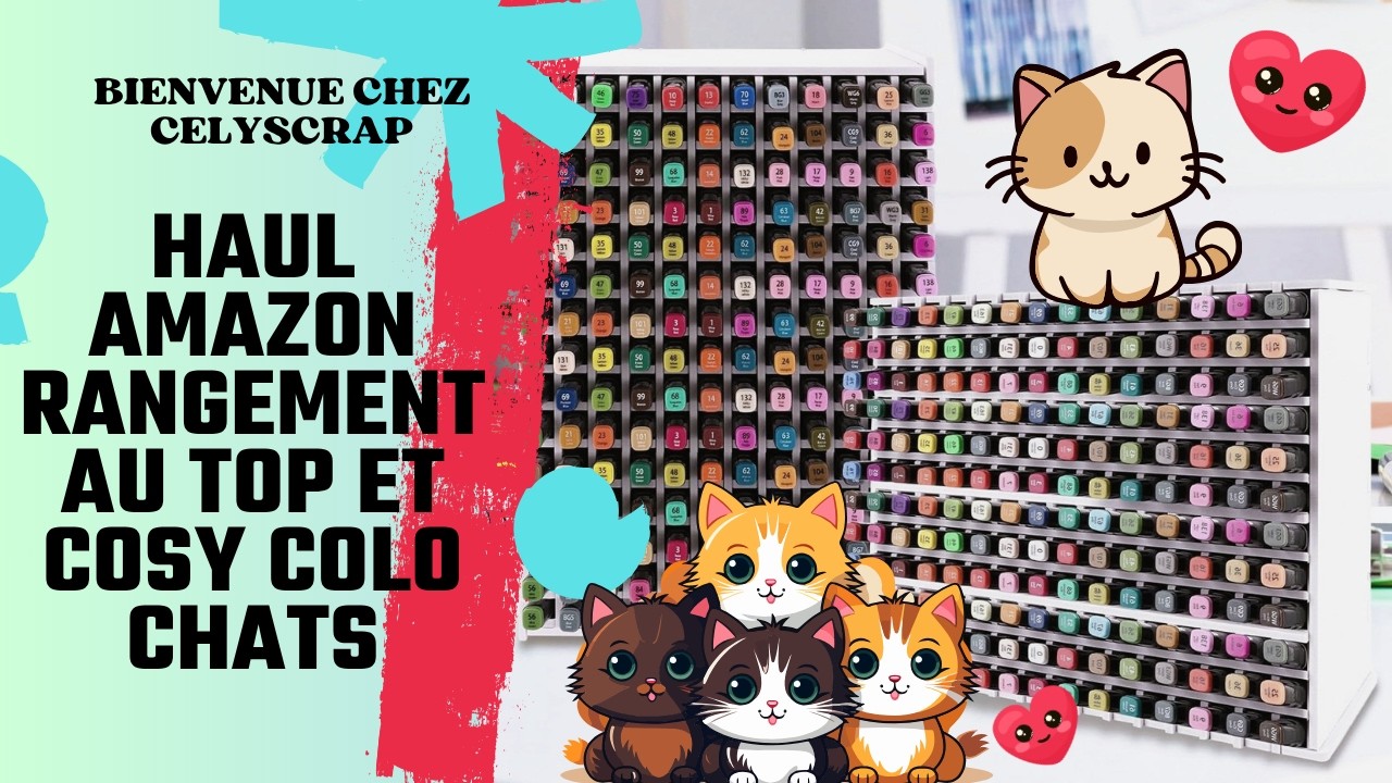 HAUL AMAZON RANGEMENT AU TOP ET COSY COLO CHATS