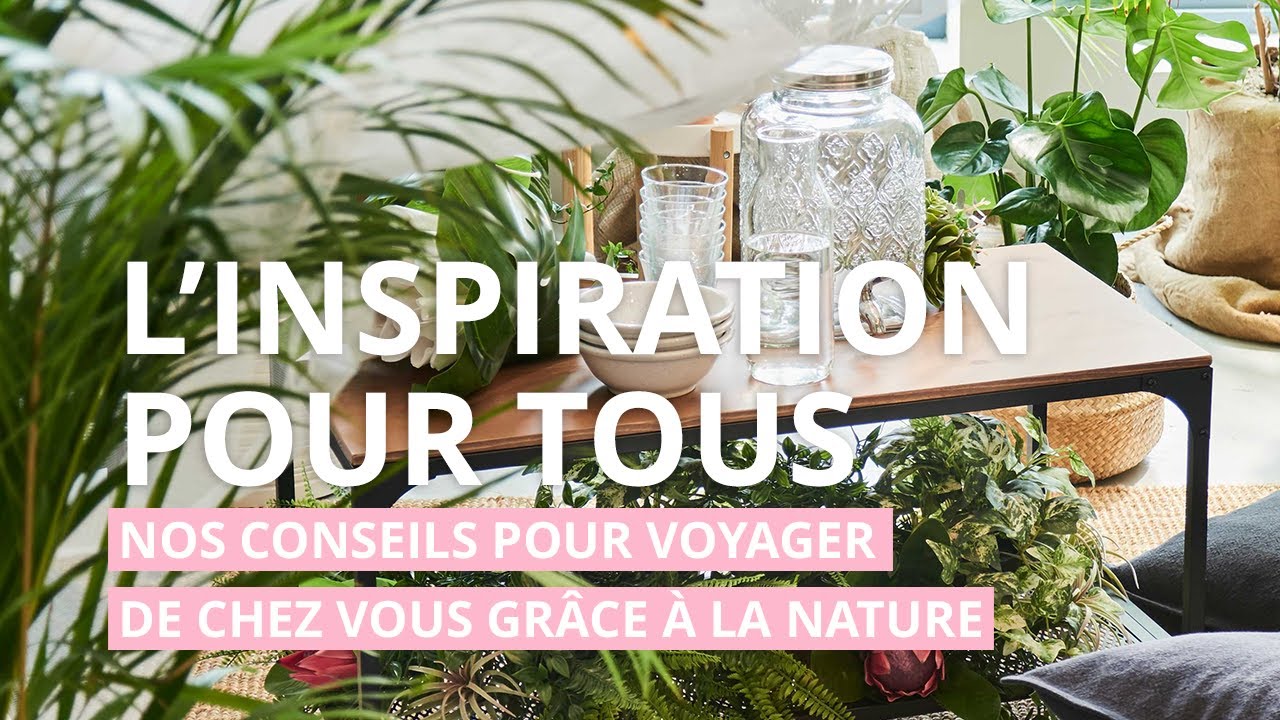 Nos conseils pour décorer votre intérieur avec des plantes