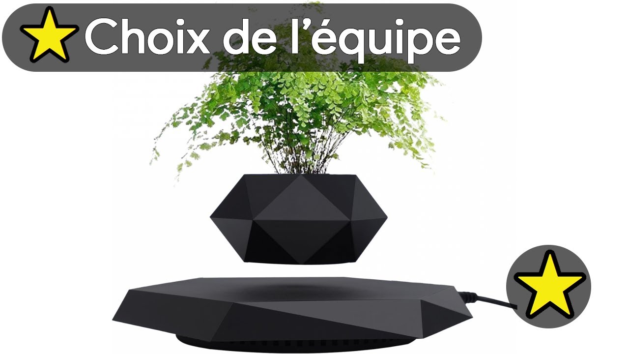 🏆 TOP 3 POT DE FLEUR EN LEVITATION 2025 🌱
