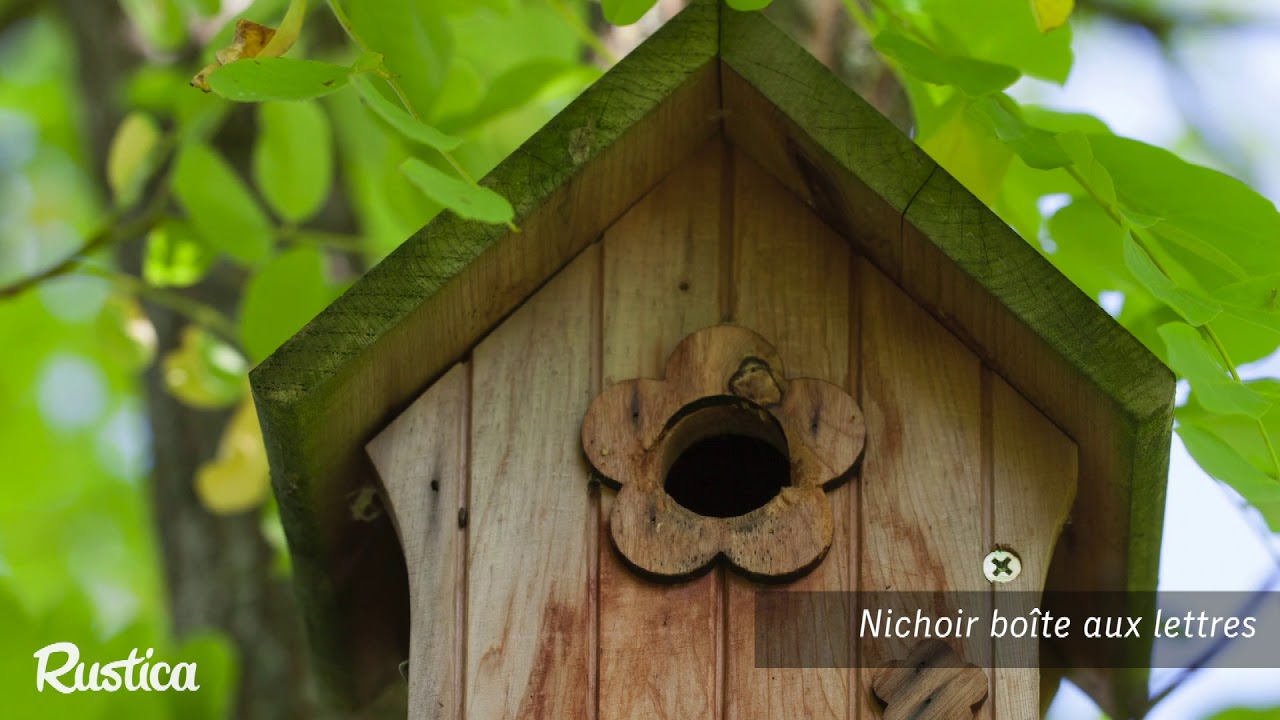 Comment installer un nichoir à  mésanges