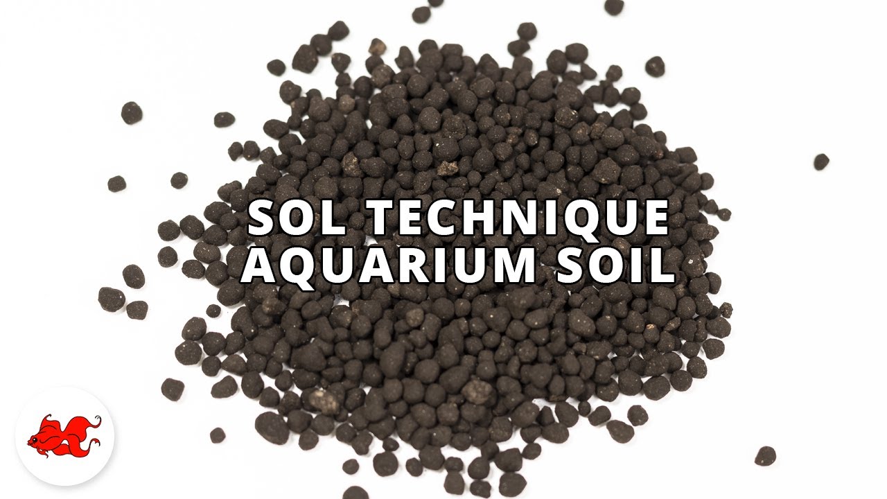 Sol technique pour aquarium - Guide complet