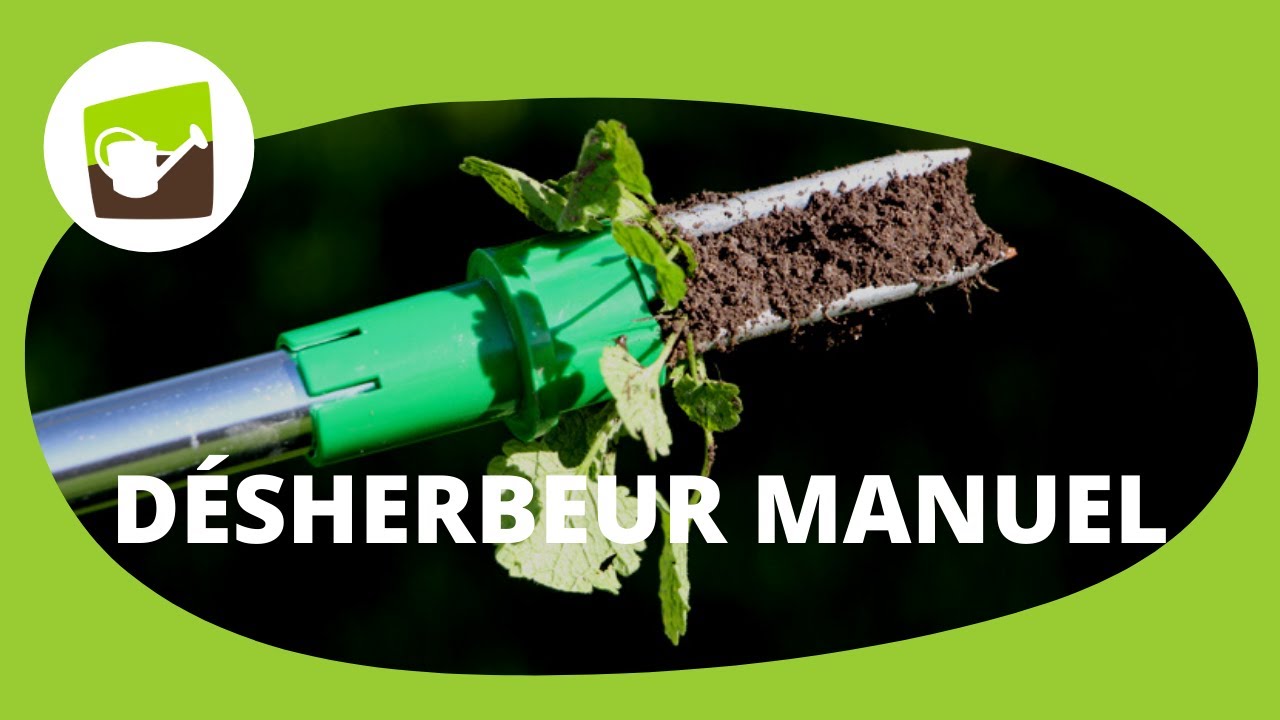 Comment débarrasser votre jardin des mauvaises herbes avec un désherbeur manuel ?