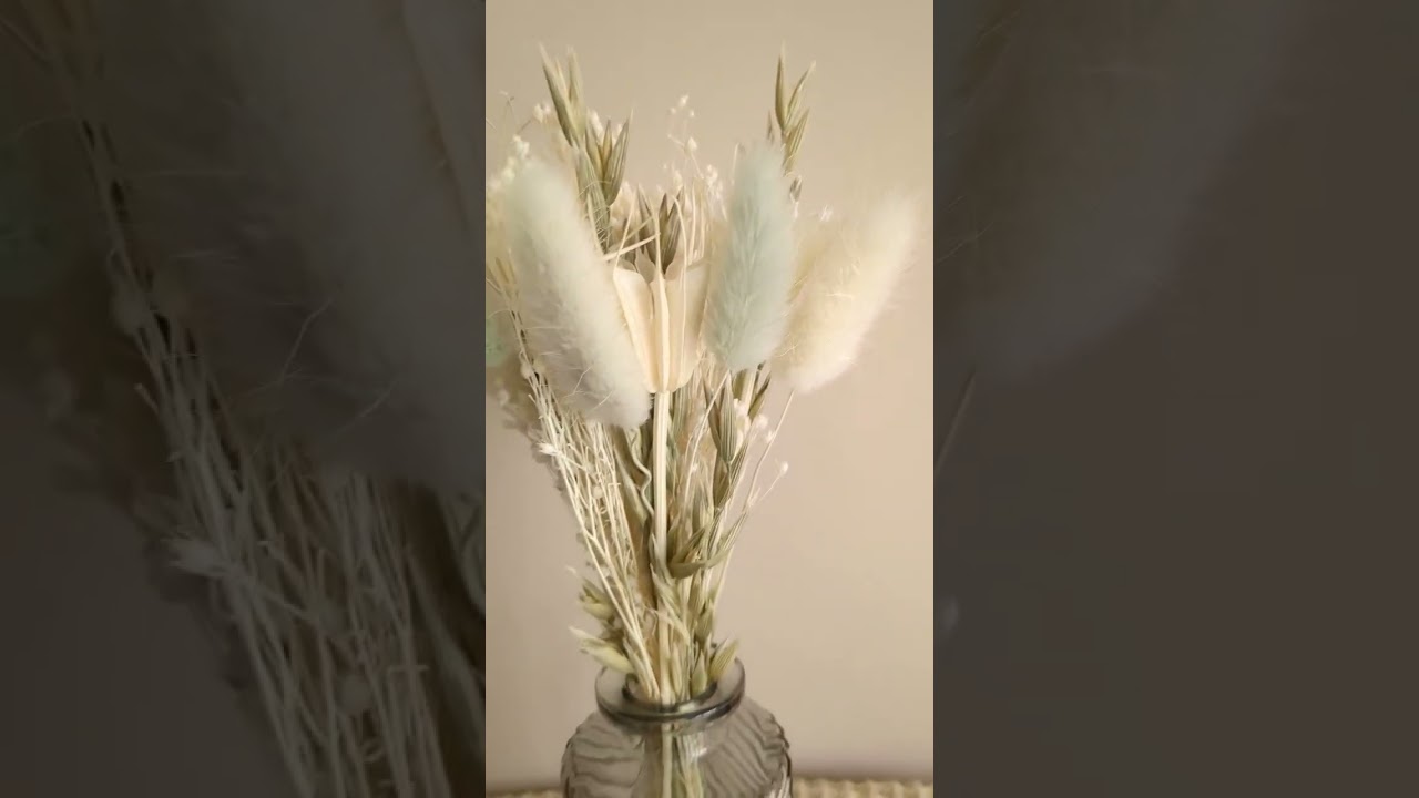 MIIZA | Bouquet Fleurs Séchées Brin Naturel video