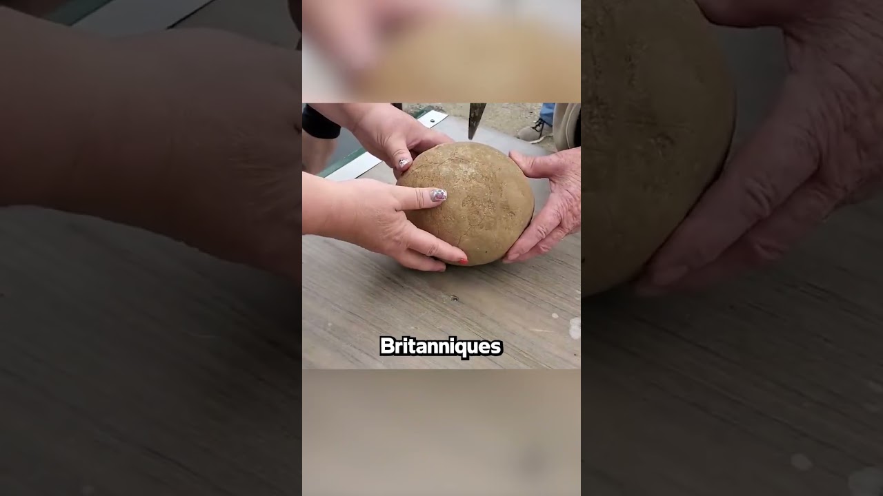 Ils Ont Ouvert Une Pierre Rare 🪨