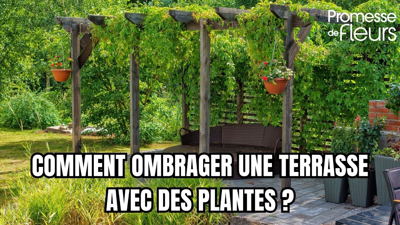 Comment ombrager une terrasse avec des plantes ?