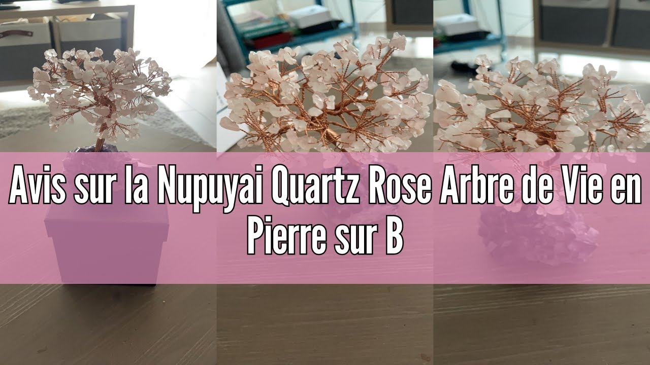 Avis sur la Nupuyai Quartz Rose Arbre de Vie en Pierre sur Base de Géode d'Améthyste Naturelle, Feng