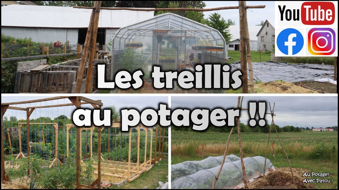 Les TREILLIS | Comment AGRANDIR l'espace au potager