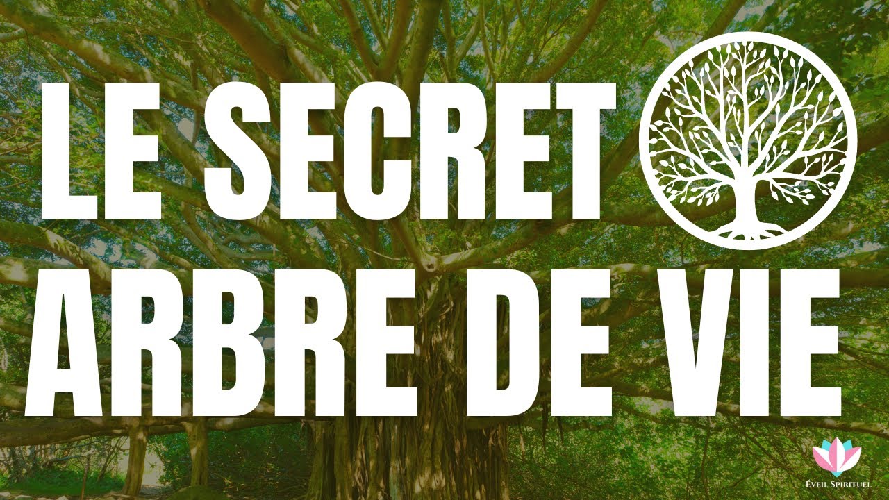Arbre de Vie : ce Symbole peut transformer ta vie !
