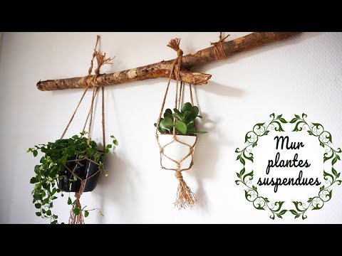 #DIY mur de PLANTES SUSPENDUES