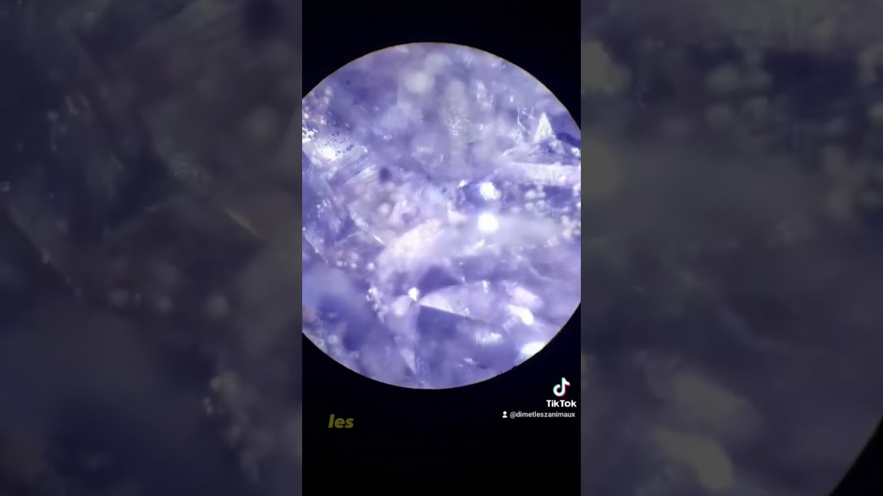 une géode d'améthyste au microscope 🔬