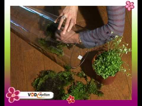 Idée déco : décorer des vases transparents