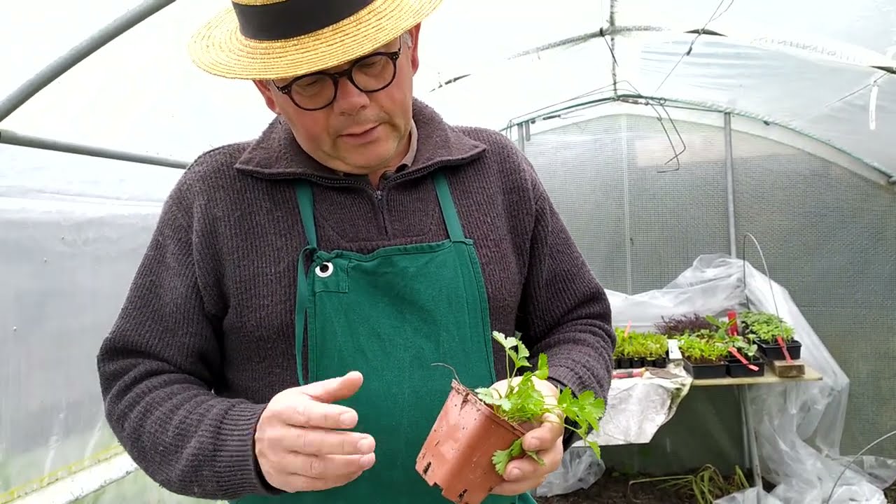 Astuce pour éviter d'arroser souvent des cultures hors sol?Réalisons des économies d'eau..