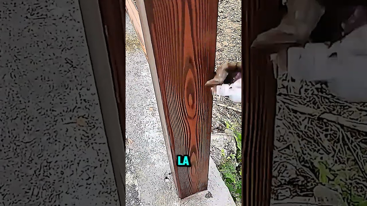 Cet outil transforme n’importe quelle surface en imitation bois ! 🎨🪵