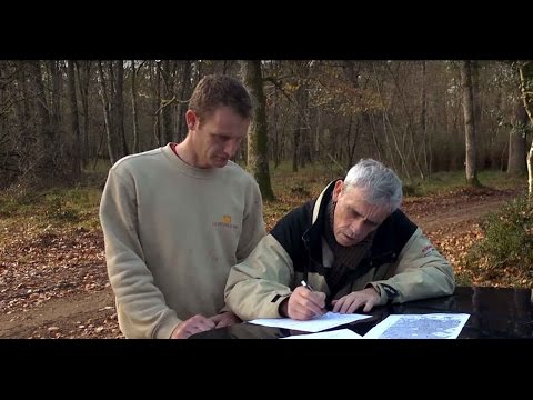 Vendre du bois de chauffage à un particulier