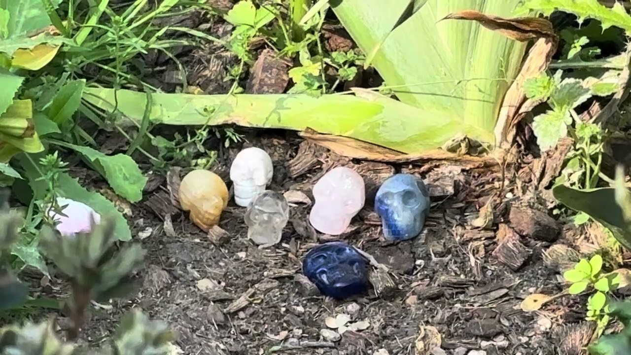 Les crânes de cristal décryptage alchimique du  📕biblique …