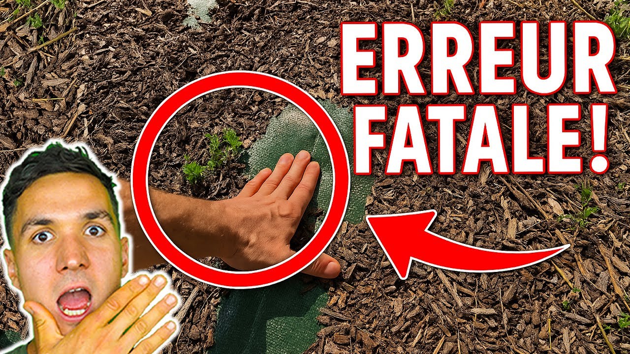 Massif de plantes: Ne Faite Pas la même ERREUR !