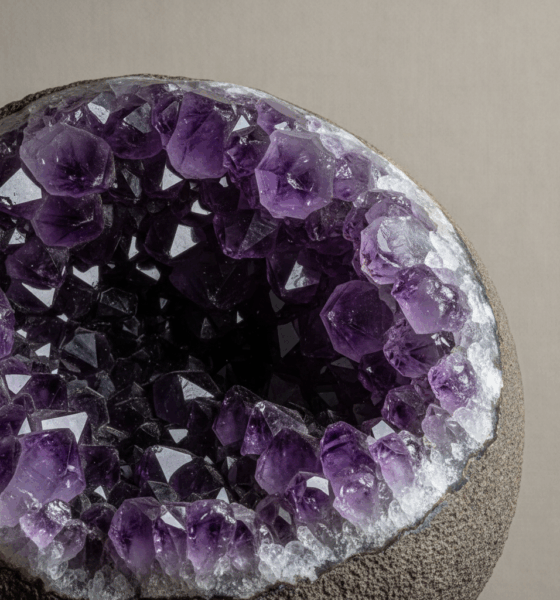 découvrez comment le prix de l'améthyste au kilogramme varie en fonction de différents facteurs essentiels. comprenez les influences sur la valeur de cette pierre précieuse pour mieux évaluer vos achats.