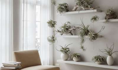 découvrez la plante décorative aux racines aériennes, qui pousse sans terre grâce à un mécanisme naturel surprenant. l'incontournable pour apporter une touche unique et élégante à vos intérieurs.