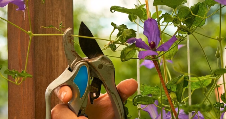 DeWalt : Découvrez ces mini-outils astucieux qui révolutionnent le bricolage et l&rsquo;entretien du jardin